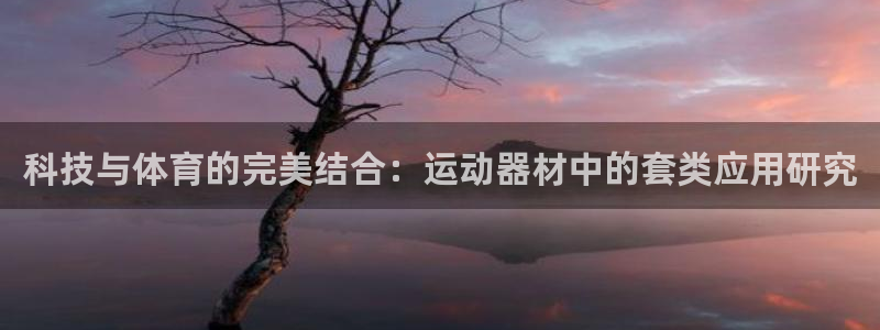 意昂体育5(KGAME)平台是正规平台吗安全吗:科技与体育的